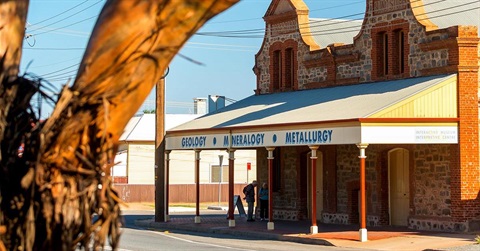 The Albert Kersten Mining and Minerals Museum  with a tree in the foreground