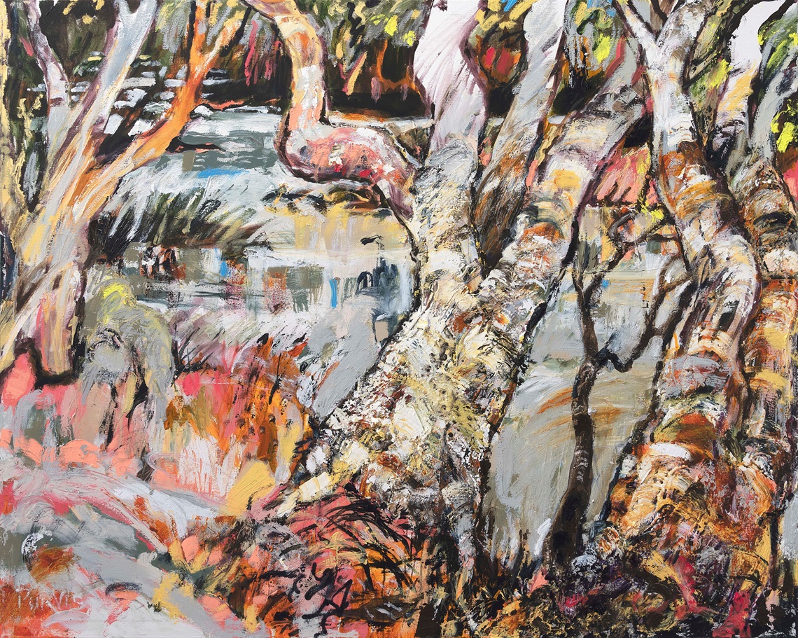 Cooper-Creek-Innamincka