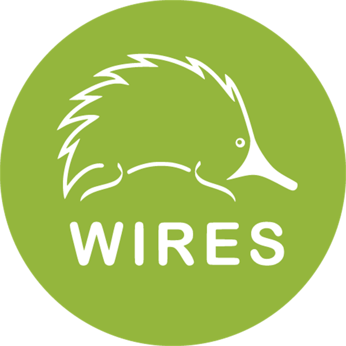 2022_WIRES-Logo_RGB500pixels