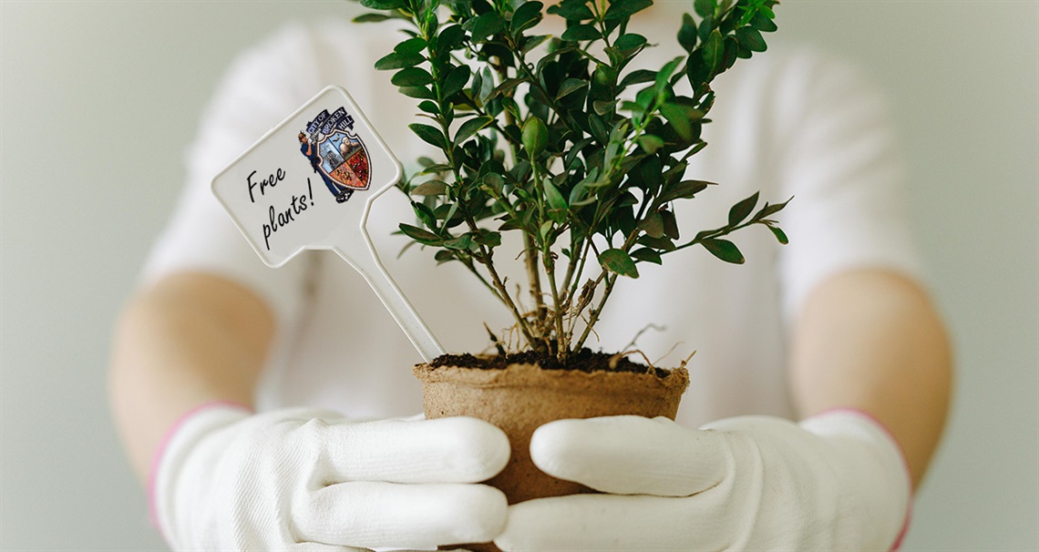 free plants.jpeg