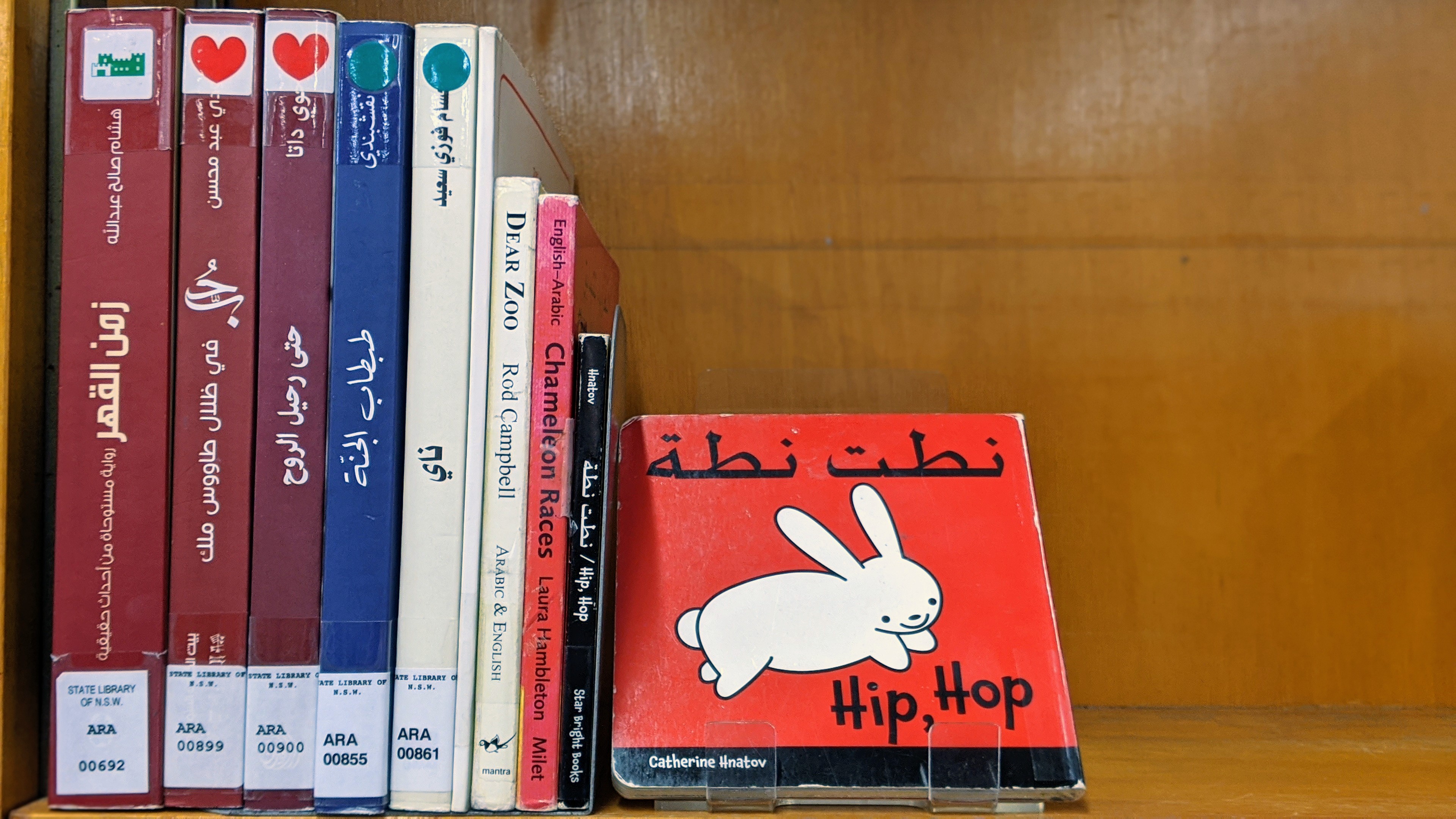 Photograph of the Arabic books on the shelf, spine view
