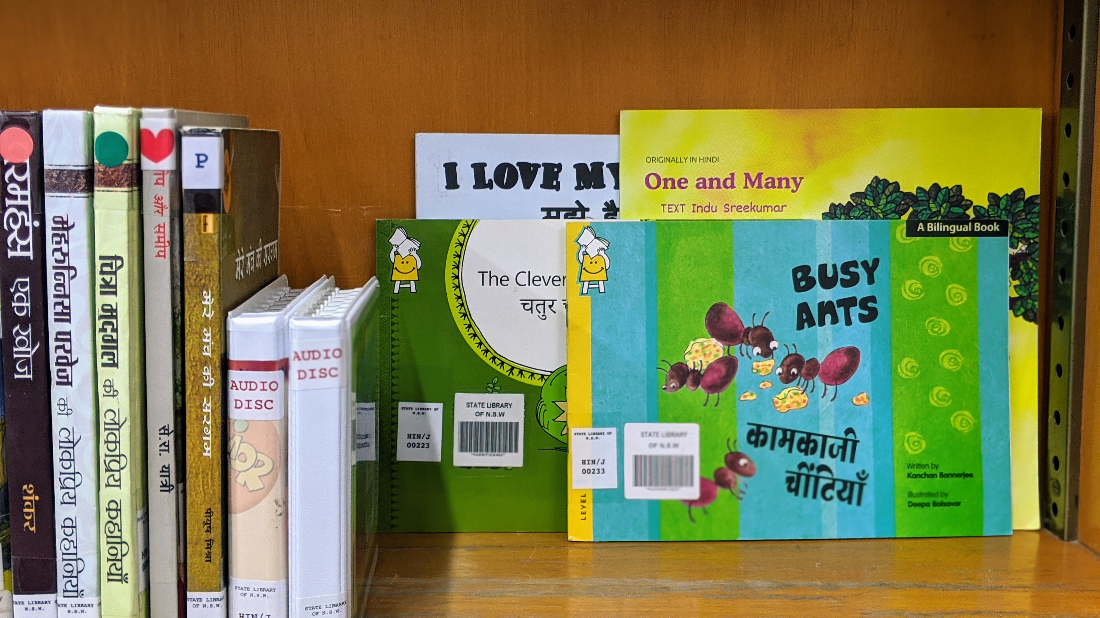 Photo of the Hindi books on the shelf, spine view except the thin childrens books are face out.