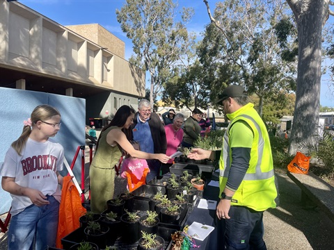 Council staff talking with members of the public and providing ground cover tube stock